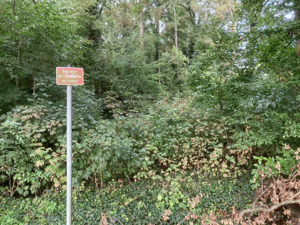 © Wolfgang Lothmann | Blick von der Plektrudisstraße