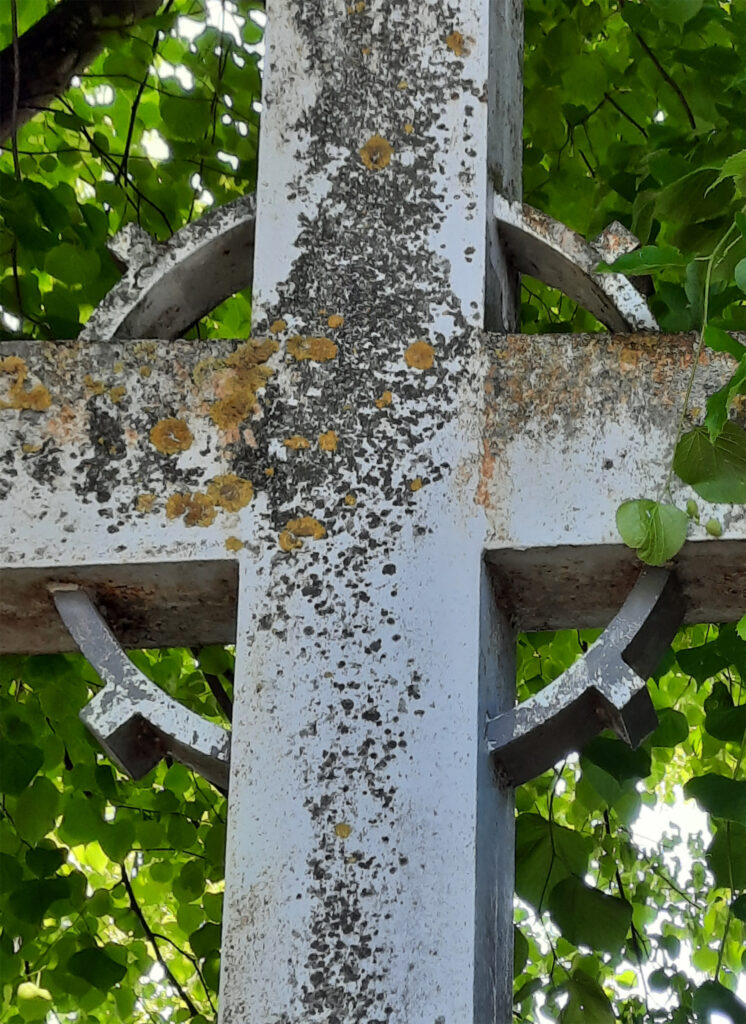 © Agnes Borgs | Hagelkreuz Dornenkranz