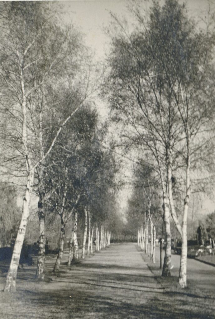© Archiv Heimatverein | Hermann Schwingens | Friedhof um 1935