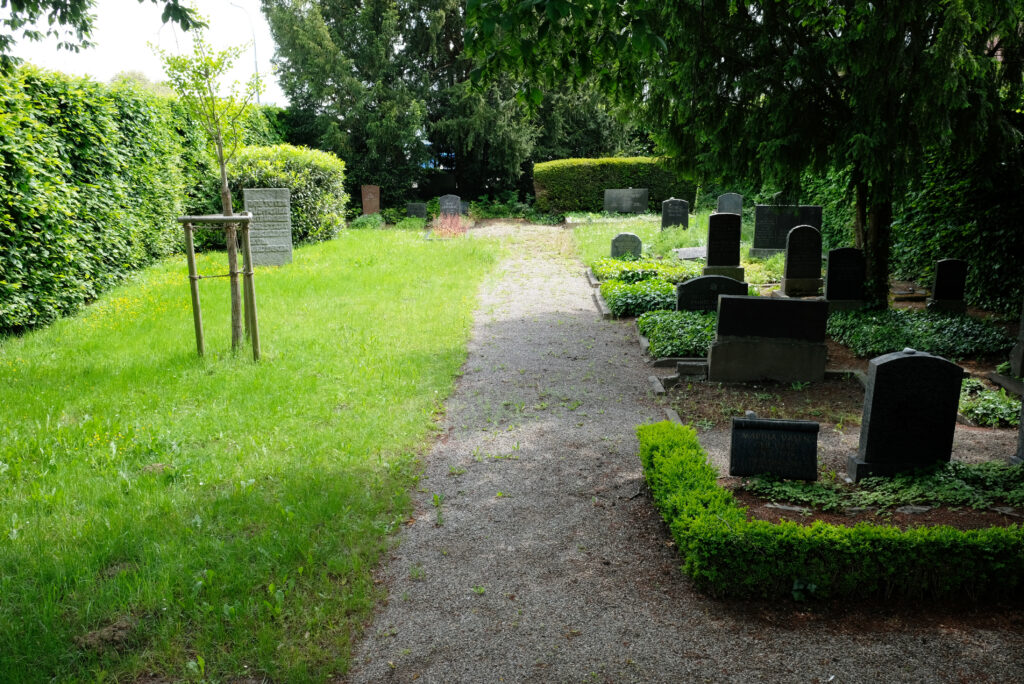 © Wolfgang Lothmann | jüdischer Friedhof