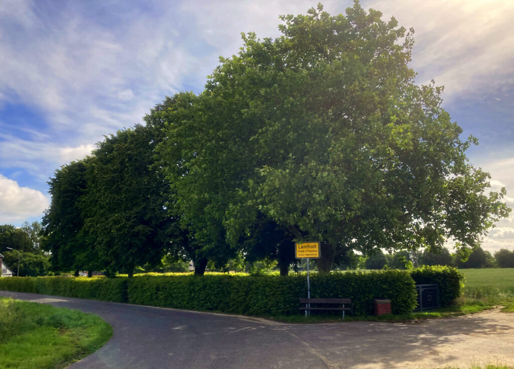 © Wolfgang Lothmann | jüdischer Friedhof Lentholt Gesamtanlage